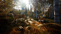 Hunting Simulator 2 / PS4 / Playstation 4 - GD Games 