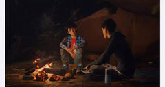 Life is Strange 2 / PS4 / Playstation 4 - GD Games 