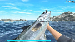 Reel Fishing: Road Trip Adventure / PS4 / Playstation 4 - GD Games 